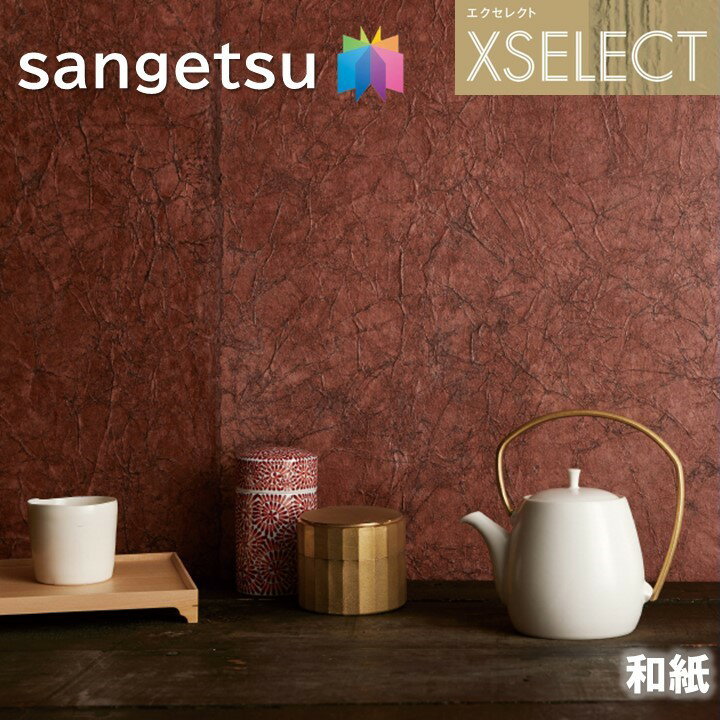 ɻ 󥲥 Τʤɻ 쥯 » SGB2037 ͤμŻ XSELECT 2021-2024 饯 ǥ ɻ ǥ͡ 