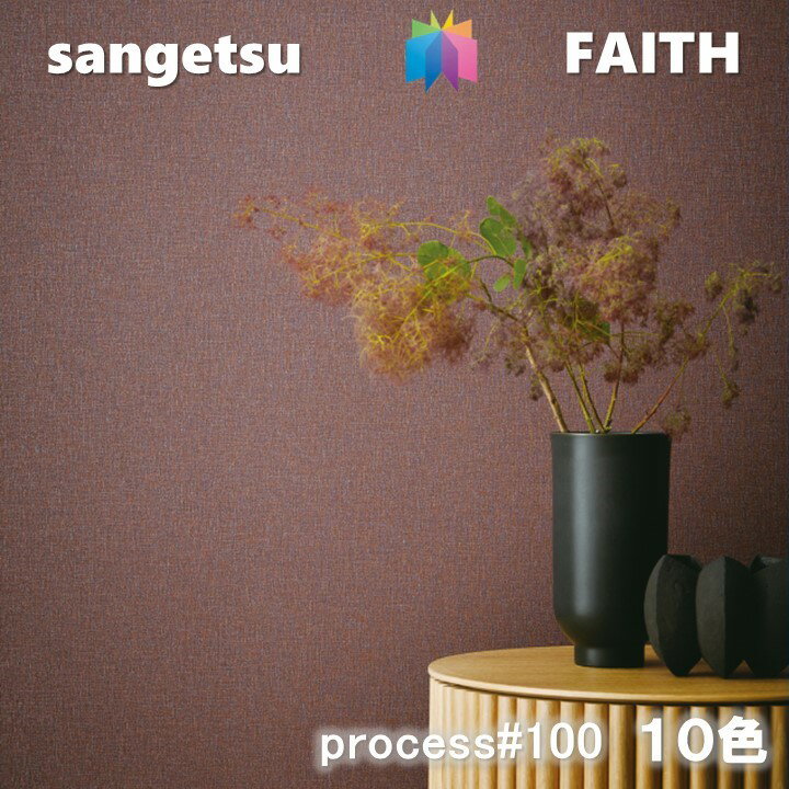 ̂Ȃǎ PROCESS#100 sR hJr R \ʋ \ʋ Xv_[ SPLENDOR TQctFCX SANGETSU FAITH NX fUC   