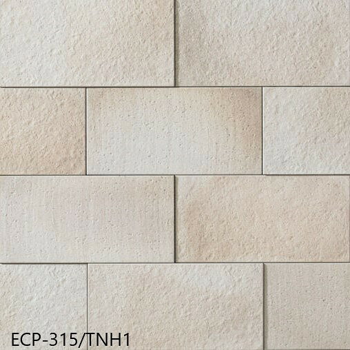 エコカラットプラス リクシル INAX ECPCARAT ECP-3151T/TNH1-3-R 302×150.5 厚さ6....