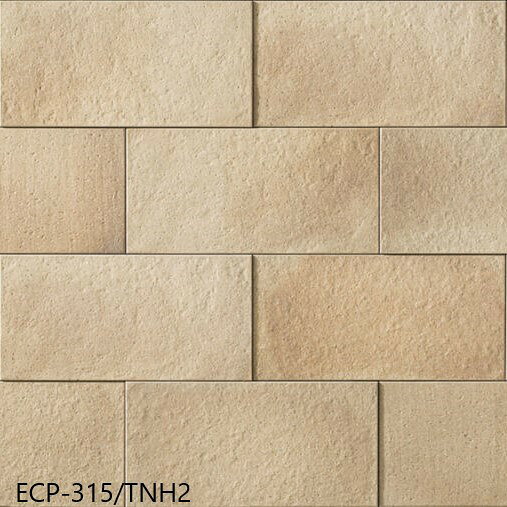 エコカラットプラス リクシル INAX ECPCARAT ECP-3151T/TNH1-3-R 302×150.5 厚さ6....