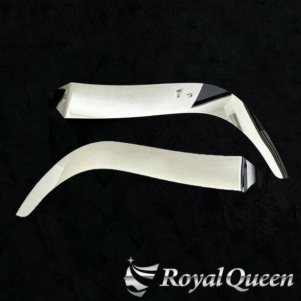 楽天Royal Queen少し訳あり♪【送料無料】大型商品【新商品♪三菱ふそう 新型 21/17スーパーグレート/スーパーグレート 標準タイプ2 オーバーフェンダーパネル ステンレス 鏡面 #1000 左右セット】FUSO スパグレ トラック デコトラ パーツ トラック用品 RoyalQueen【RQFP21F】