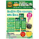 送料無料 選べる3色 三和通商 北海道産昆布&馬油で髪にやさしい 白髪染め ヘアカラー トリートメント 200g