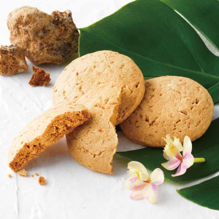 ロイズ石垣島 黒糖ショコラキュイ