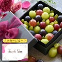 【夏ギフト お中元 333円割】 フルーツ ギフト ぶどう シャイマスカット ぶどう の宝石箱 ヴェレゾンスクエア 贈り物 岡山 葡萄 シャインマスカット ピオ...