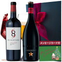 ワイン ギフト ビール ワイン ギフト セット 2本セット プレミアム ビール イネディット ビール 赤 ワイン 689 シックス・エイト・ナイン ナパ・ヴァレ...