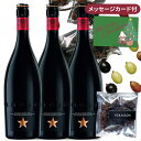 【全品P10倍 お中元 夏ギフト】海外 ビール おつまみ セット スペインビール イネディット ビール 3本 750ml 国産レーズン1pack 家飲み プレゼント おしゃれ 誕生日 メッセージ