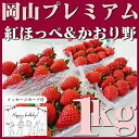 誕生日 いちご 紅ほっぺ かおり野 岡山の大地の恵み 朝摘み 270g×4パック 1kg以上 農園 新鮮直送 イチゴ 贈り物 ひな祭り 誕生日プレゼント おしゃれ