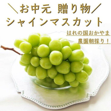 敬老の日 誕生日プレゼント 御祝 【フルーツ ギフト】シャインマスカット【贈答箱】【1房】【700g以上】【 女友達】【ぶどう】【送料無料】【贈り物】