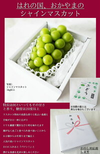 6月中旬以降お届けシャインマスカット【贈答箱】【1房】【800g以上】【お中元】【ぶどう】【送料無料】【贈り物】【ギフト】