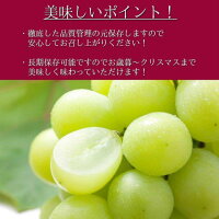 シャインマスカット【1房】【800g以上】【お歳暮】【ぶどう】【送料無料】【贈り物】【ギフト】