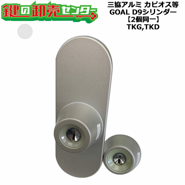 【GOAL TKG,TKD】【2個同一】三協アルミ D9シリンダー WD6163(WD5113) シルバー(SI)色 扉厚33mm 2個同一シリンダー キー5本付き カピオス ベルビュールII GOAL TKG,TKD