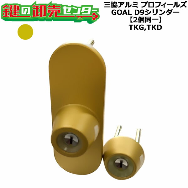 【GOAL TKG,TKD】【2個同一】三協アルミ D9シリンダー WD7093 ゴールド(GO)色 扉厚60mm 2個同一シリンダー キー5本付き プロフィールズ GOAL TKG,TKD