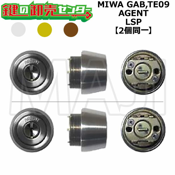 MIWA GAB,TE09 鍵交換用 AGENT,エージェント LSP 2個同一シリンダー 鍵(カギ) 交換 取替