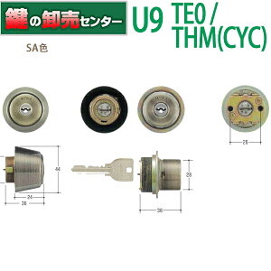 【2個同一】MIWA,美和ロック THM(CYC)/TE0シリンダー取替シリンダー SA色 MCY-459 MCY459 《U9-THMCYCTE0-SA-2》 鍵(カギ) 取替 交換