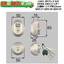 【2個同一】【QDC17-QDC18-QDC19】DDZZ3004 BFプレナスII 鍵(カギ) 交換 取替えシリンダーセット DNシリンダー2個同一 ドア厚3...
