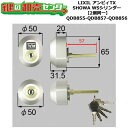 ユーシンショウワ　トステム用交換シリンダー 付属キー 5本（内1本がラバーヘッド。ラバー形状は予告なく変更される場合がございます、ご了承ください。） ※こちらのシリンダーは仕様変更により、2019年以降スペアキーの形状が変更されております。ご確認ください。 シリンダー色 グレー 納期 通常2&#12316;3営業日で出荷可能 在庫切れ等納期がかかる場合、ご注文後、メールで連絡しております。 トステム,TOSTEM(LIXIL)のSHOWA,ユーシンショウワ　WSシリンダーを使用した2個同一キーシリンダー1セットです。 商品は上下同一キーシリンダー1セット（シリンダーは写真の2個のシリンダー、キー5本つき　シリンダーは同一キーで操作可能） ※シリンダー等の色合いは実物と若干異なる場合がございます、ご了承ください。大きさは全て約寸法です。 トステム,TOSTEM　DGZZ1034シリンダーを使用している扉名,フロント刻印例 下記扉名、フロント刻印がある場合でも、お手数ですが一度シリンダーをはずしてお客様自身で形状サイズの確認を必ずお願いいたします。扉名、フロント刻印だけでシリンダーの特定はしておりません。同じ扉名、フロント刻印でもシリンダーが何種類かある場合があります。ご注意ください。 扉名 フロント刻印例（型番は参考資料になります。） アンビィTX扉 QDB855,QDB856（把手部 QDB857） ※リンク先は『決済・返品・交換』ページになります。