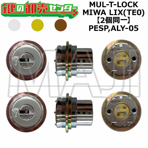 樂天商城 - MUL-T-LOCK,マルティロック PESP,ALY-05 鍵交換用 MIWA LIX(TE0) 2個同一シリンダー 鍵(カギ) 交換 取替