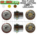 MUL-T-LOCK,マルティロック LE02,GAES 鍵交換用 MIWA LIX(TE0) 2個同一シリンダー 鍵(カギ) 交換 取替(4)