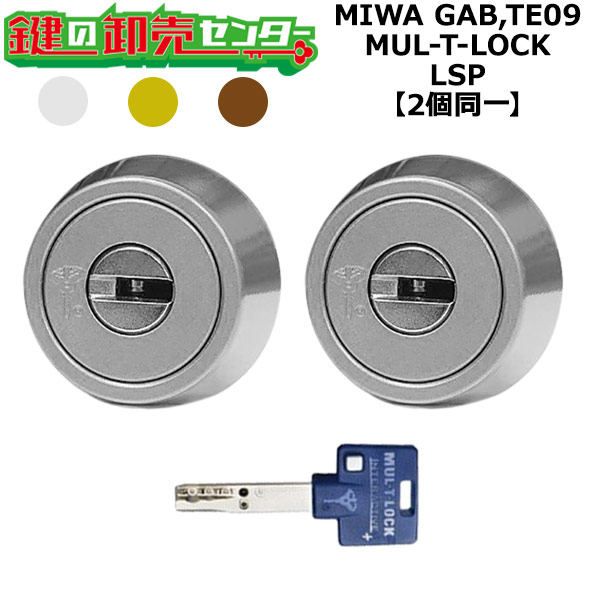 MIWA GAB,TE09 鍵交換用 MUL-T-LOCK,マルティロック LSP 2個同一シリンダー 鍵(カギ) 交換 取替