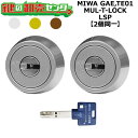 MIWA GAE,TE01 鍵交換用 MUL-T-LOCK,マルティロック LSP 2個同一シリンダー 鍵(カギ) 交換 取替