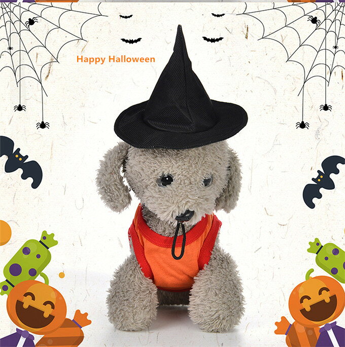˹�� �ϥ��������ѿȡ����� ǭ����� ˹�� ǭ�� ˹�� ���ꥹ�ޥ� �ڥå��� ˹�� �����ץ� �ڥå����� �İ��� ���� �̿���ǰ ���� �������塼�� ��ñ���� ...