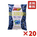 ブルーベリー 500g 20袋 フルーツ BlueBerry 冷凍 ノースイ 冷凍フルーツ 業務用 大容量 送料無料 ヨーグルト アイスクリーム クレープ