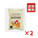 正栄 カスタードパウダー 500g 2袋 カスタードクリーム 製菓材料 シュークリーム ケーキ 業務用 食品 グルメ ポイント ポイント消化 送料無料