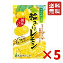 【送料無料 国産】ドライフルーツ レモン 250g | 輪切り 皮まで美味しく、酸っぱさ控えめ 大容量 お徳用 お得用 ご自宅用 業務用 南信州菓子工房 半生ドライ 果物 フルーツ フォンダンウォーター お菓子 ドライレモン