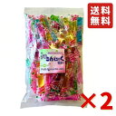 坂製菓 プチこんにゃくゼリー 500g (約53本) ×2袋 合計 約100本以上 凍らせても美味しい シャーベット ゼリー 小分け 駄菓子 業務用 こんにゃく...