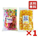 坂製菓 プチこんにゃくゼリー 塩分チャージゼリー 1kg (約106本) 2種セット 凍らせても美味しい シャーベット ゼリー 小分け 熱中症 送料無料 こんに...