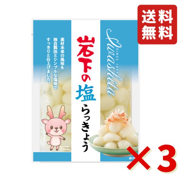 岩下 岩下の塩らっきょう 90g 3袋 岩下食品 塩らっきょう カレー トッピング 漬物 食べきりサイズ おつまみ らっきょう 送料無料