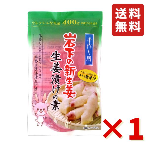 岩下 岩下の新生姜生姜漬けの素 400ml 1袋 岩下食品 酢漬け 漬物 ピクルス 生姜 簡単 漬物の素 送料無料 生姜にこだわった岩下ならではの本格派生姜漬けの素。 酸味は控えめで旨味があり、まろやかで食べやすい味に仕上げました。さっぱりとしたあと味で、素材の味を引き立てます。本品1袋でフレッシュな生姜400gが漬けられます。※漬け込み後は2～3週間で食べきるようにしてください。※一度漬け込みに使用した液は、再使用しないでください。※さびますので、金属製の容器やフタは使用しないでください。 5