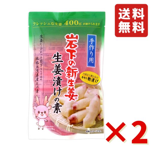 岩下 岩下の新生姜生姜漬けの素 400ml 2袋 岩下食品 酢漬け 漬物 ピクルス 生姜 簡単 漬物の素 送料無料