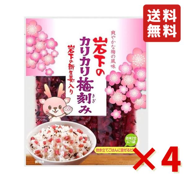 岩下 岩下のカリカリ梅刻み 90g 4袋 岩下食品 カリカリ刻み梅 漬物 岩下の新生姜入 酢漬け ご飯のお供 ごはんに混ぜるだけ おにぎり 送料無料