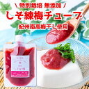 竹内農園 しそ練り梅 180g 1個 チューブ 塩分約20% ねり梅 練り梅 梅肉 特別栽培 紀州南高梅干 無添加 梅 うめ キャップ付 万能調味料 梅にく 練梅