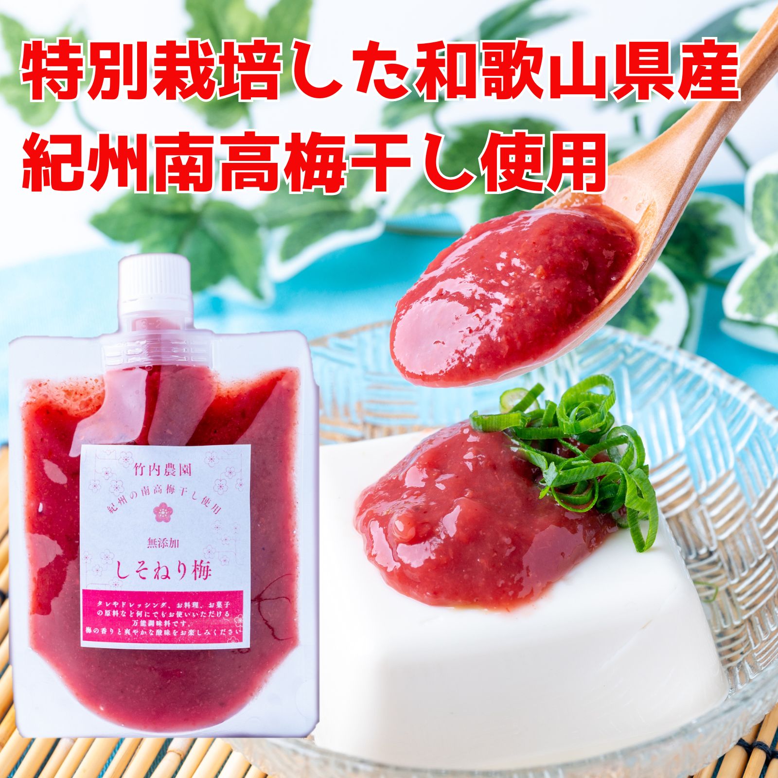 竹内農園 練り梅 しそねり梅 180g 2種セット チューブ 塩分約20% ねり梅 梅肉 特別栽培 紀州南高梅干 無添加 梅 うめ 万能調味料 梅にく 練梅 送料無料 2