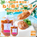 竹内農園 練り梅 180g 2個 チューブ 塩分約20% ねり梅 梅肉 特別栽培 紀州南高梅干 無添加 梅 うめ キャップ付 万能調味料 梅にく 練梅 しそ 送料無料