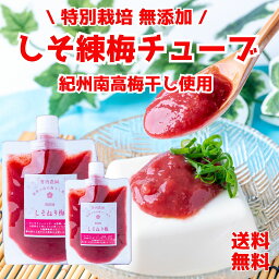 竹内農園 しそ練り梅 180g 2個 チューブ 塩分約20% ねり梅 練り梅 梅肉 梅チューブ 特別栽培 紀州南高梅干 無添加 梅 うめ キャップ付 万能調味料 梅にく 練梅 送料無料