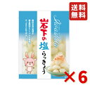 岩下 岩下の塩らっきょう 90g 6袋 岩下食品 塩らっきょう カレー トッピング 漬物 食べきりサ ...