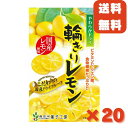 【送料無料 国産】ドライフルーツ レモン 500g | 皮まで美味しく、酸っぱさ控えめ 大好評の大容量！ ドライレモン お徳用 お得用 ご自宅用 業務用 南信州菓子工房 半生ドライ 果物 フルーツ フォンダンウォーター お菓子