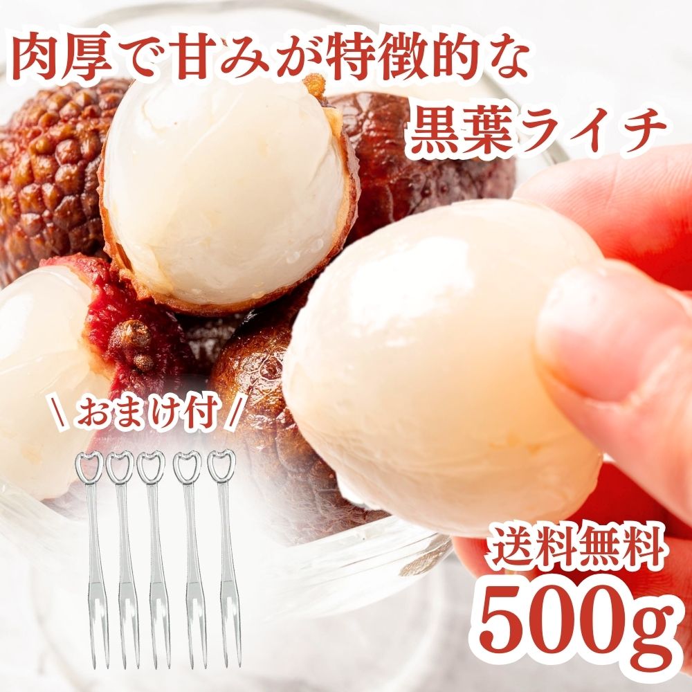 冷凍フルーツ ライチ 500g おまけ付 フルーツフォーク5本セット 黒葉 南国フルーツ 砂糖不使用 添加物不使用 業務用 冷凍 スムージー かき氷 トロピカル...