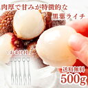 冷凍フルーツ ライチ 500g おまけ付 フルーツフォーク5本セット 黒葉 南国フルーツ 砂糖不使用 添加物不使用 業務用 冷凍 スムージー かき氷 トロピカル...