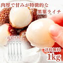 冷凍フルーツ ライチ 1kg (500g×2袋)おまけ付 フルーツフォーク5本セット 黒葉 南国フルーツ 砂糖不使用 添加物不使用 業務用 冷凍 スムージー か...