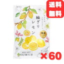 南信州菓子工房 国産 輪切り レモン 24g 60袋 ドライフルーツ 半生ドライフルーツ レモン お菓子 おやつ チャック付き 無着色 送料無料