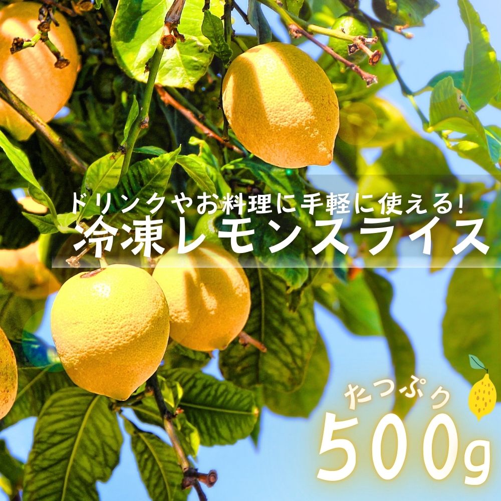 レモンスライス 冷凍 輪切り 500g (500g×1袋) 冷凍フルーツ レモンサワー レモネード レモンティー 冷凍レモン レモン 業務用 かき氷 バラ凍結 送料無料