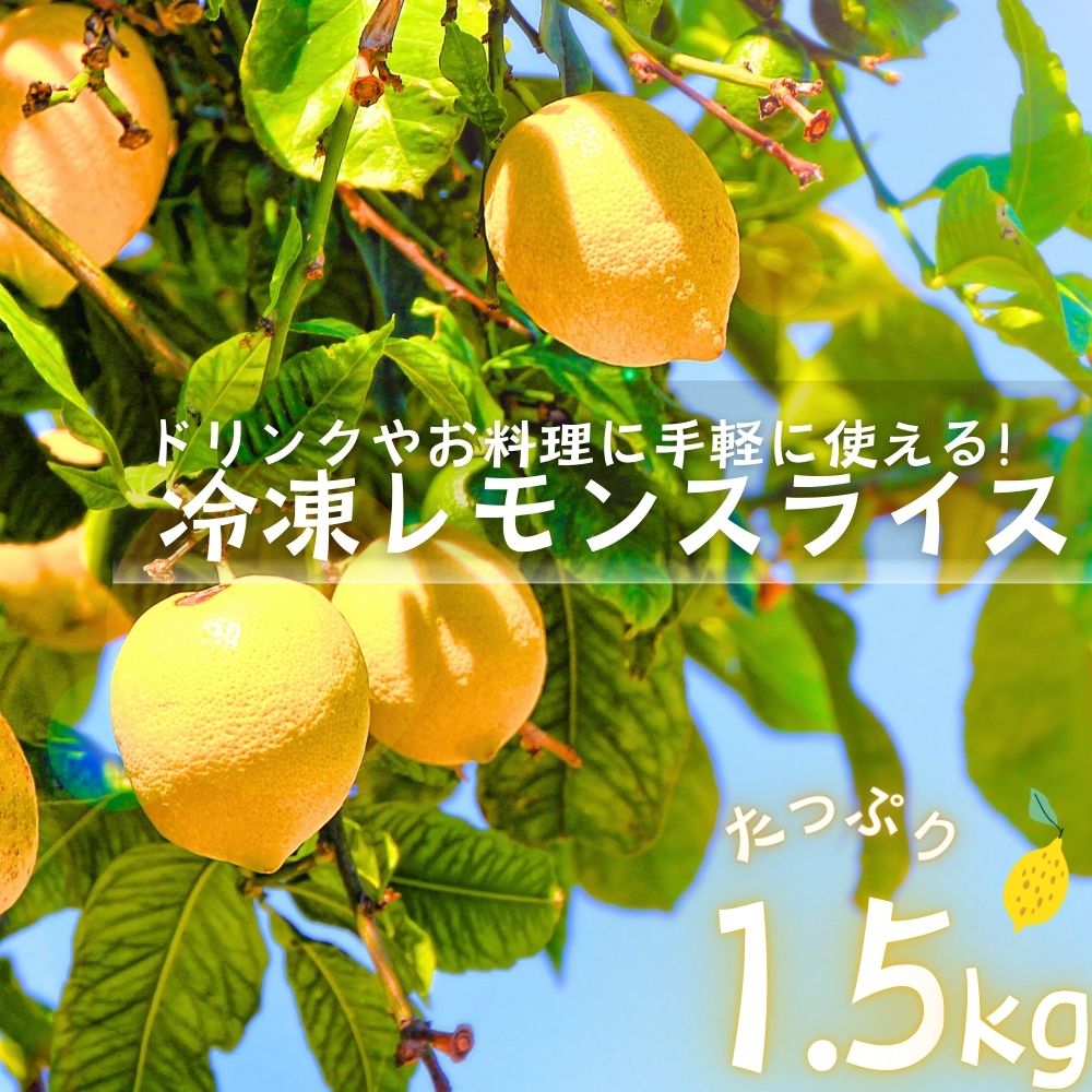 レモンスライス 冷凍 輪切り 1.5kg (500g×3袋) 冷凍フルーツ レモンサワー レモネード レモンティー 冷凍レモン レモン 業務用 かき氷 バラ凍結 送料無料