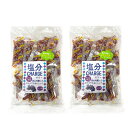 坂製菓 塩分チャージゼリー グレープ 500g (約53本)2袋 塩分チャージ 凍らせても美味しい シャーベット ゼリー 小分け 駄菓子 業務用 熱中症 熱中症...