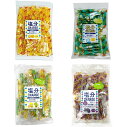 坂製菓 塩分チャージゼリー 4種から1袋選べる 500g (約53本)塩分チャージ 凍らせても美味しい シャーベット ゼリー 小分け 駄菓子 業務用 熱中症 熱...