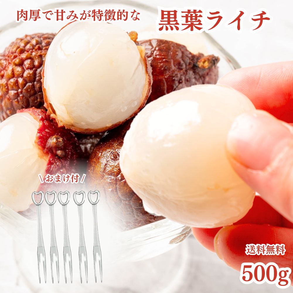 冷凍フルーツ ライチ 500g 冷凍ライチ おまけ付 フルーツフォーク5本セット 黒葉 南国フルーツ ...