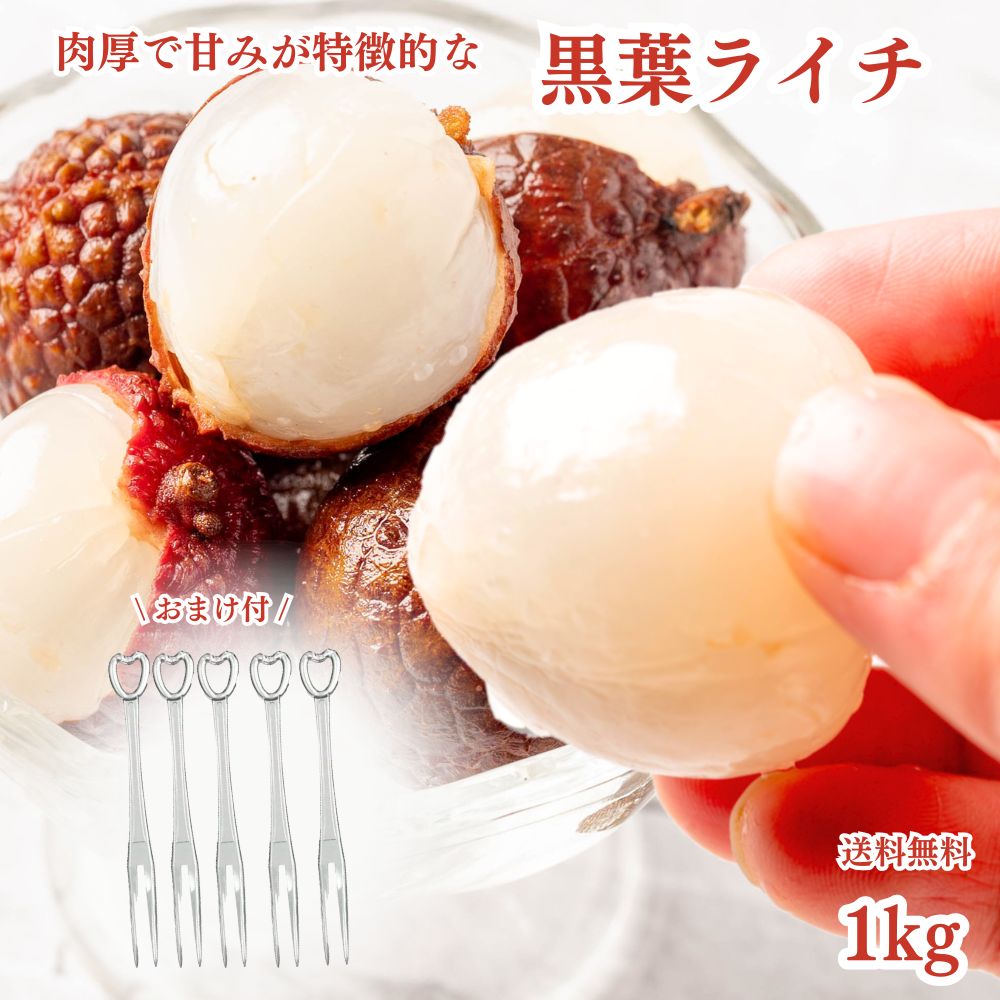 冷凍フルーツ ライチ 1kg (500g×2袋) 冷凍ライチ おまけ付 フルーツフォーク5本セット  ...